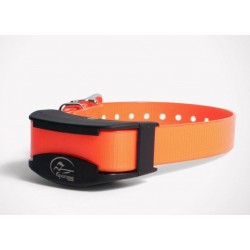 Erziehungshalsband SportDog 800m