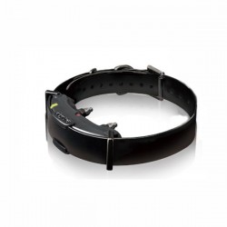 Empfänger für das Halsband Dogtra ARC 800